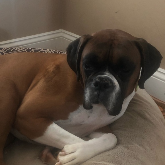 Meet your Posher, Megan - Picture 1 of 1